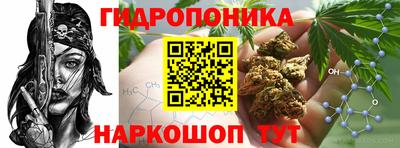 ПСИЛОЦИБИНОВЫЕ ГРИБЫ Гусь-Хрустальный